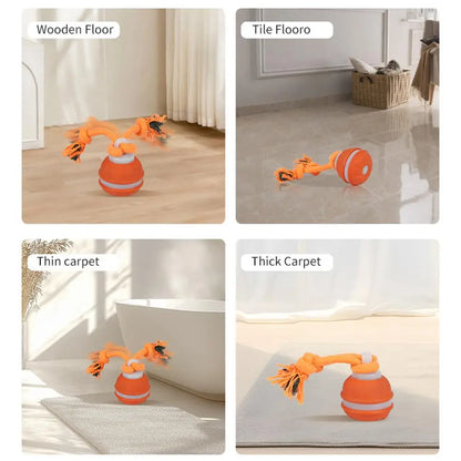 Pet Ball for Dogs Interactive Toys Motion Activate Rolling Ball for Puppy/Small Dogs Automatic Moving Toy USB Rechargeable Toy
